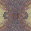 fortebkgd4534
