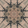 fortebkgd4566