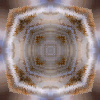 fortebkgd4568