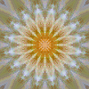 fortebkgd4573