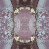 fortebkgd4595