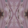 fortebkgd4598