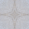 fortebkgd4623