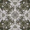 fortebkgd4645