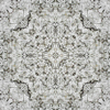 fortebkgd4646