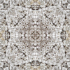 fortebkgd4647