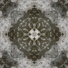 fortebkgd4650