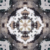 fortebkgd4674