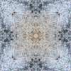 fortebkgd4706