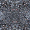 fortebkgd4716