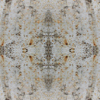 fortebkgd4730