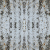 fortebkgd4731