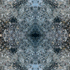 fortebkgd4765