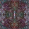 fortebkgd5124