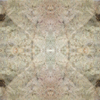 fortebkgd5136