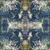 fortebkgd5229