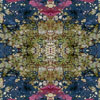 fortebkgd5230