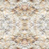 fortebkgd5238