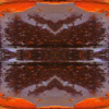 fortebkgd5248
