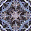 fortebkgd5302