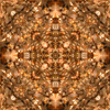 fortebkgd5323