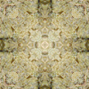 fortebkgd5343