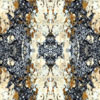 fortebkgd5398