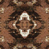 fortebkgd5430