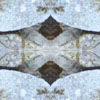 fortebkgd5440