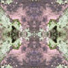 fortebkgd5478