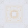 fortebkgd5590