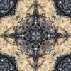 fortebkgd5596