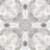 fortebkgd5782