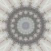 fortebkgd5789