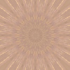 fortebkgd6005