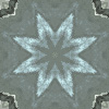 fortebkgd6024