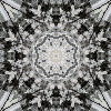 fortebkgd6047