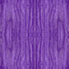 fortebkgd6256