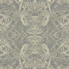 fortebkgd6299