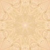 fortebkgd6366