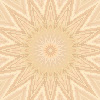 fortebkgd6368