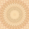 fortebkgd6369