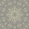 fortebkgd6414