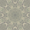 fortebkgd6419