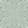 fortebkgd6433