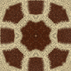 fortebkgd6443
