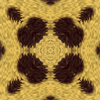 fortebkgd6477
