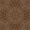 fortebkgd6504