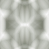 fortebkgd6752