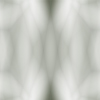 fortebkgd6753